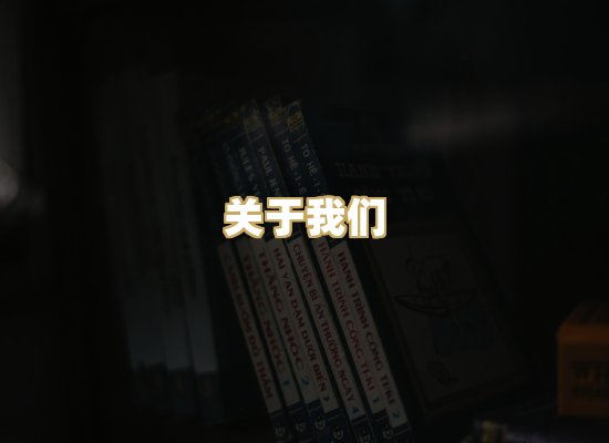 关于我们